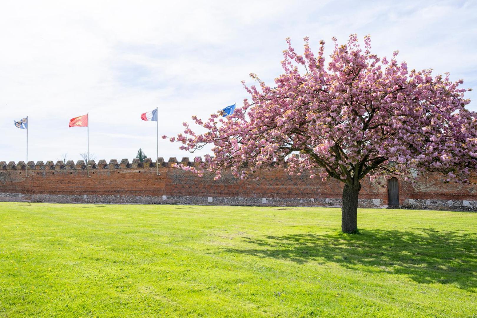 Chateau De Tilly Boissey-le-Chatel Εξωτερικό φωτογραφία